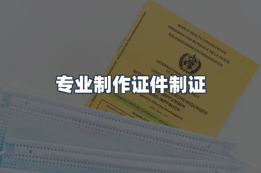仿制证件24小时